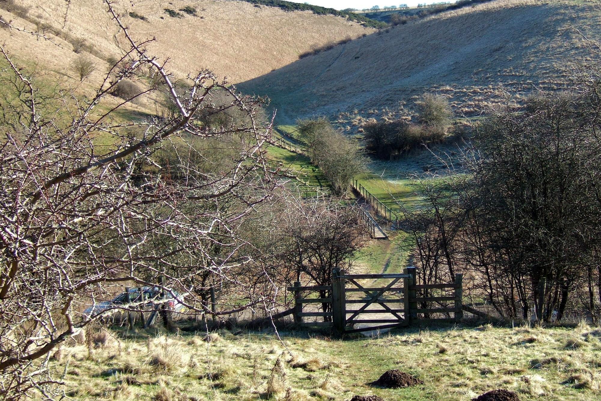 Photograph of Sylvan Dale, Yorkshire Wolds