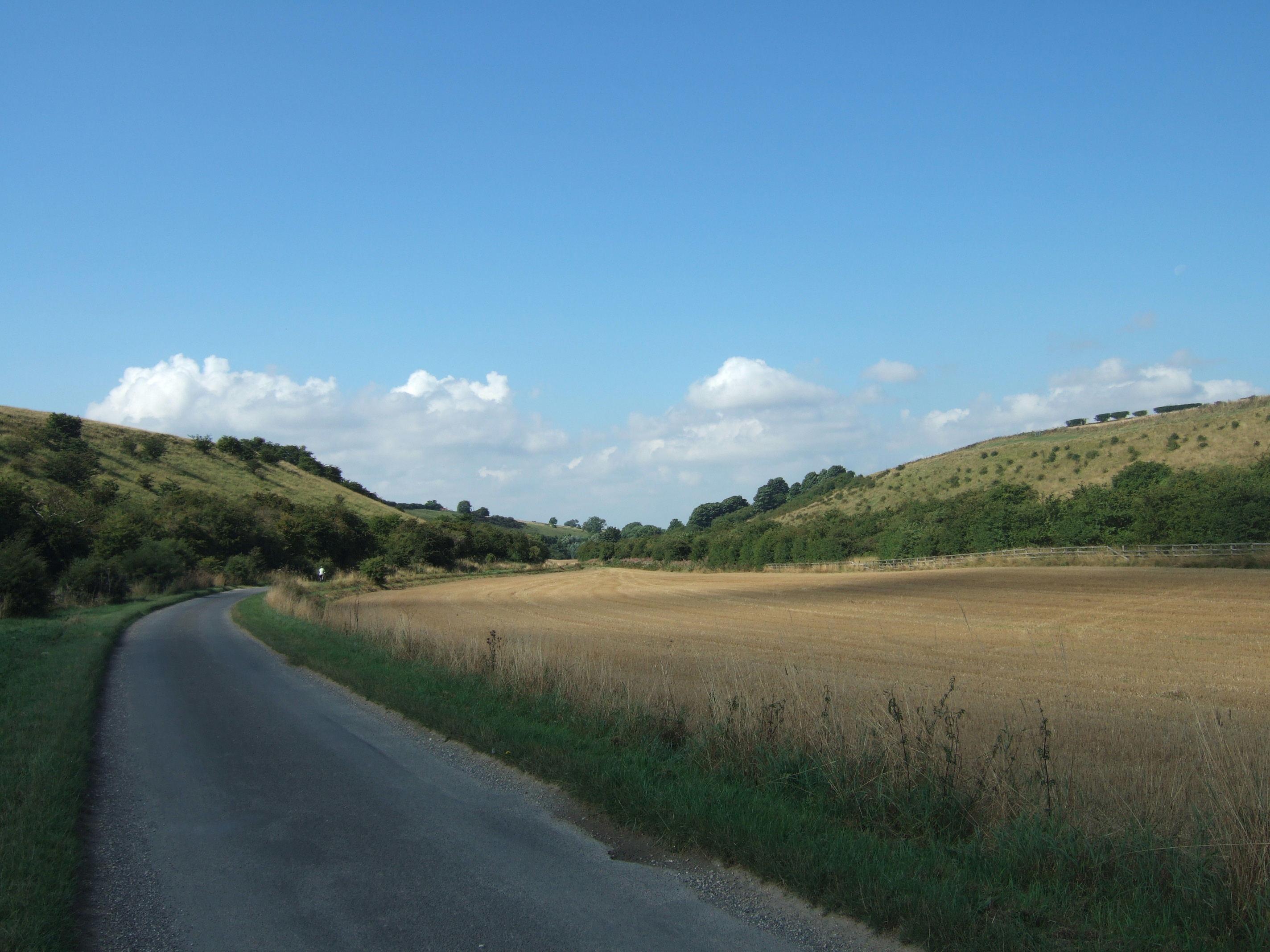 Photograph of Goodmanham Springwell Field, Yorkshire Wolds