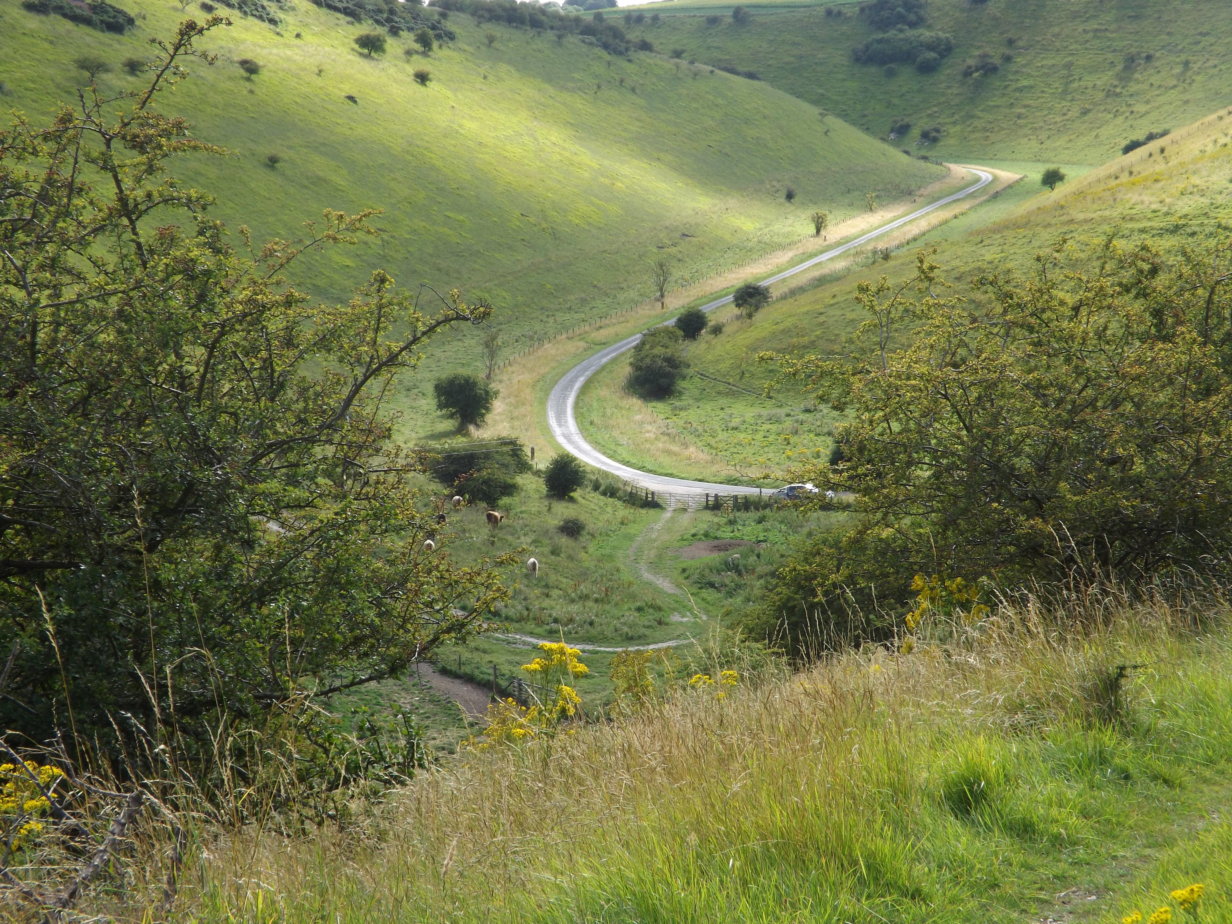 Photograph of Millington Pastures, Yorkshire Wolds