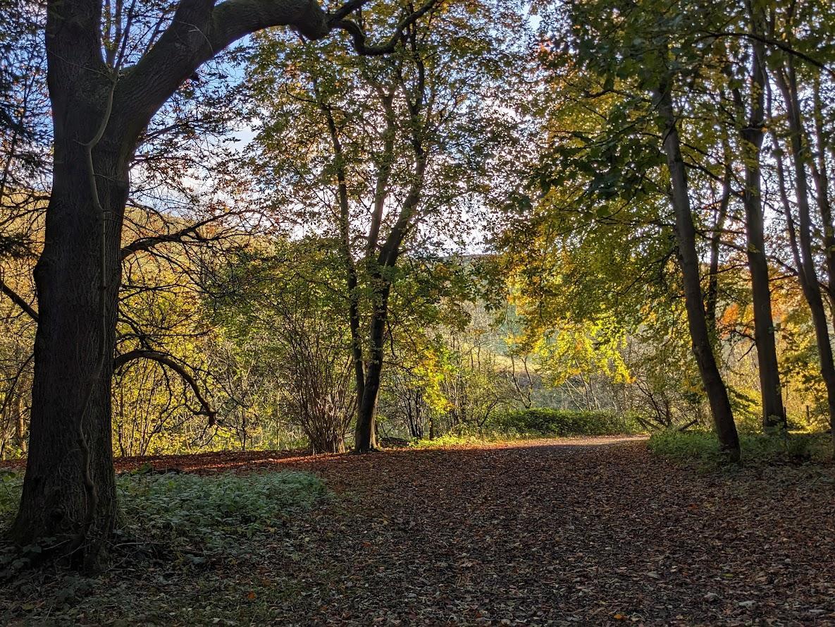 Proposed ‘Area of Outstanding Natural Beauty’ Designation