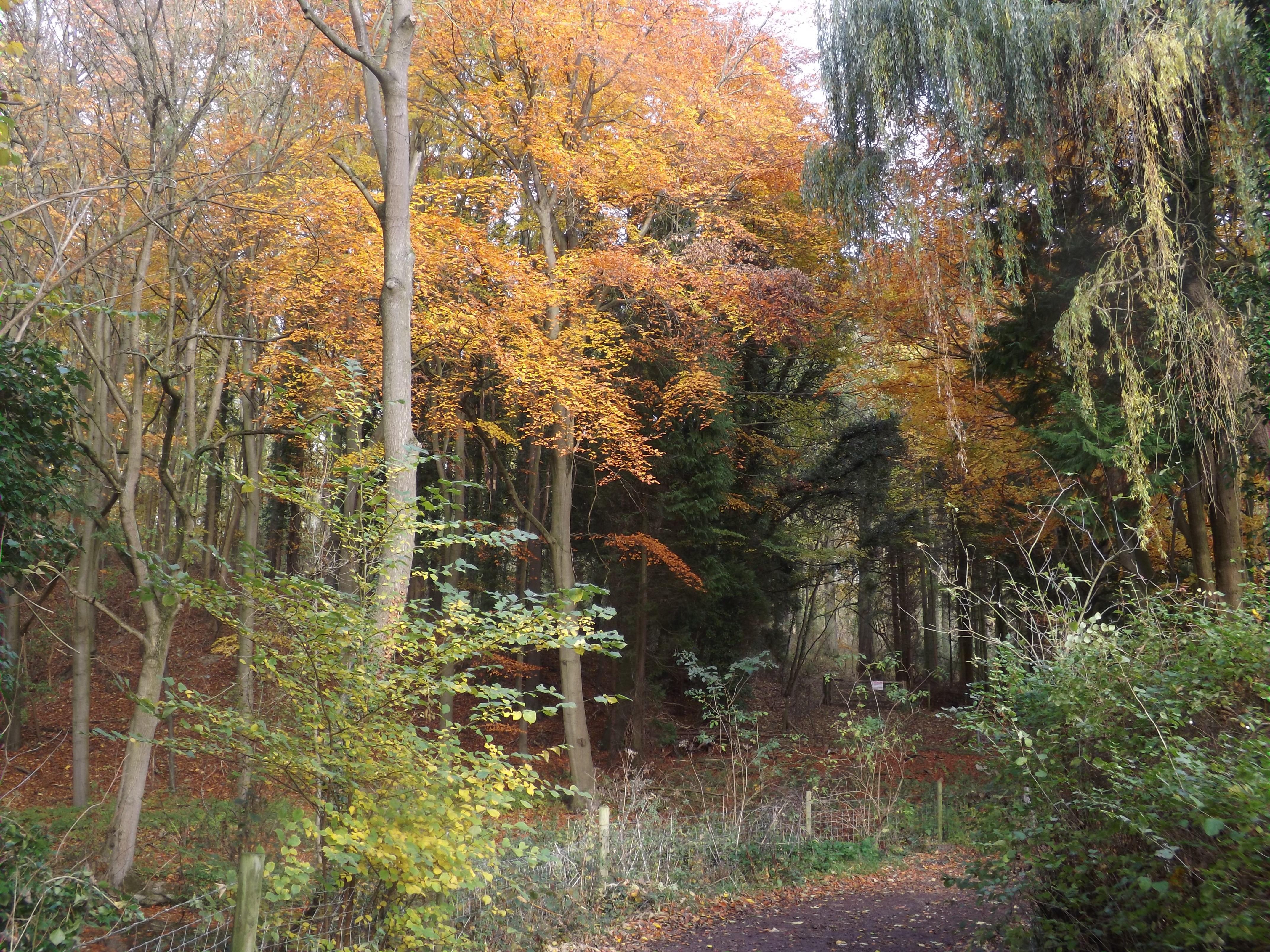 Photograph of Welton Dale, Yorkshire Wolds